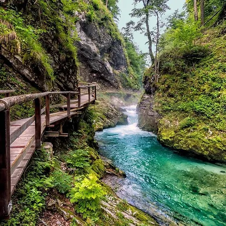 Jagoda I Cozy Alpine Near Bled 3*