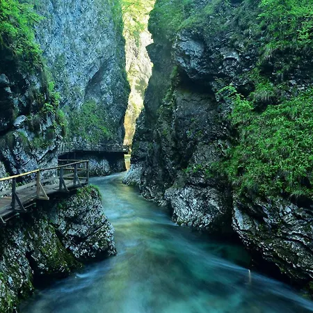 Jagoda I Cozy Alpine Near Bled