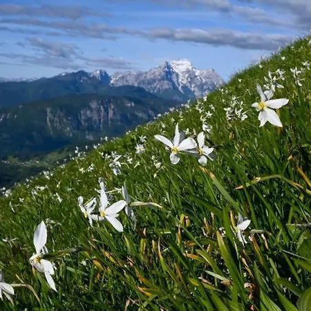 Jagoda I Cozy Alpine Near Bled 3* Blejska Dobrava