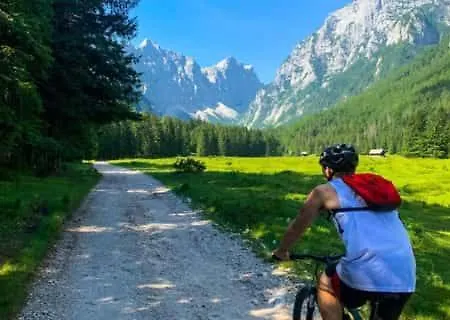 Jagoda I Cozy Alpine Near Bled Penzion