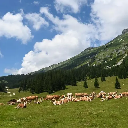 Jagoda I Cozy Alpine Near Bled 3*