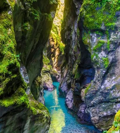 Jagoda I Cozy Alpine Near Bled 3* Blejska Dobrava